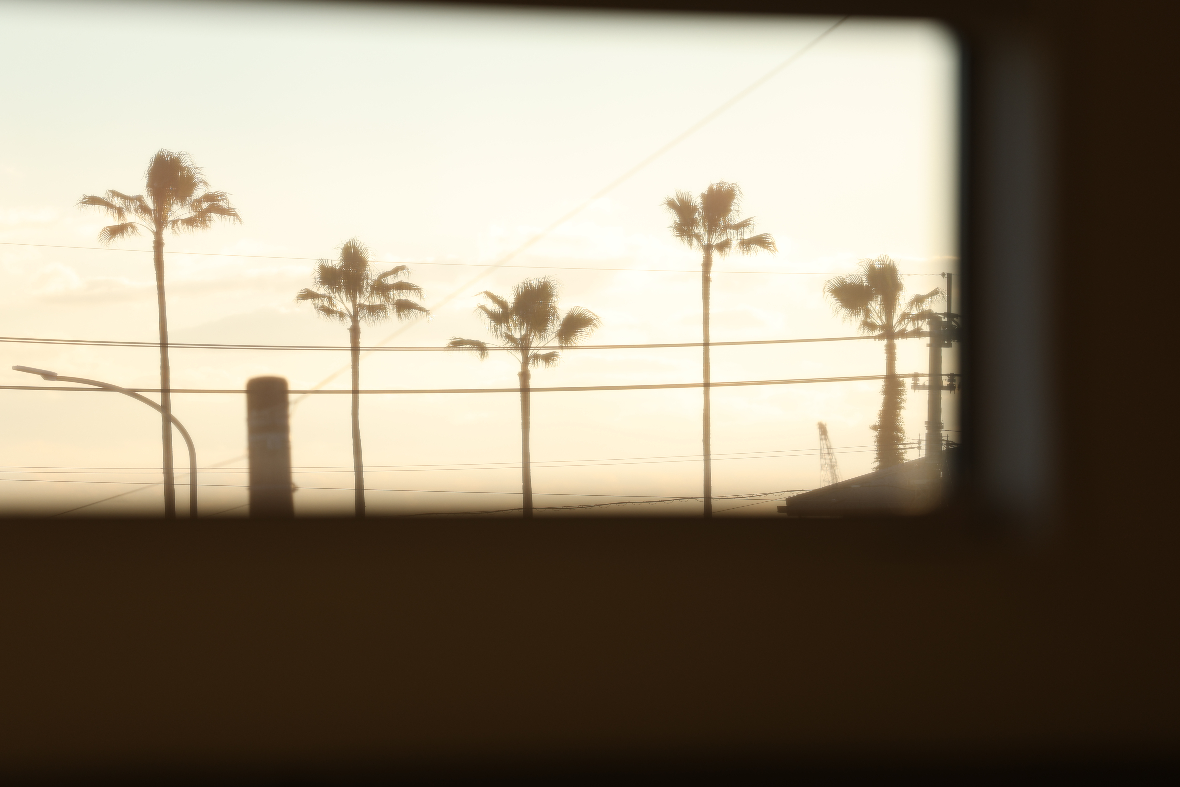 Cover Image - PC